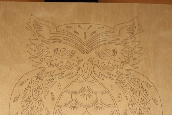 pic-owl-detail